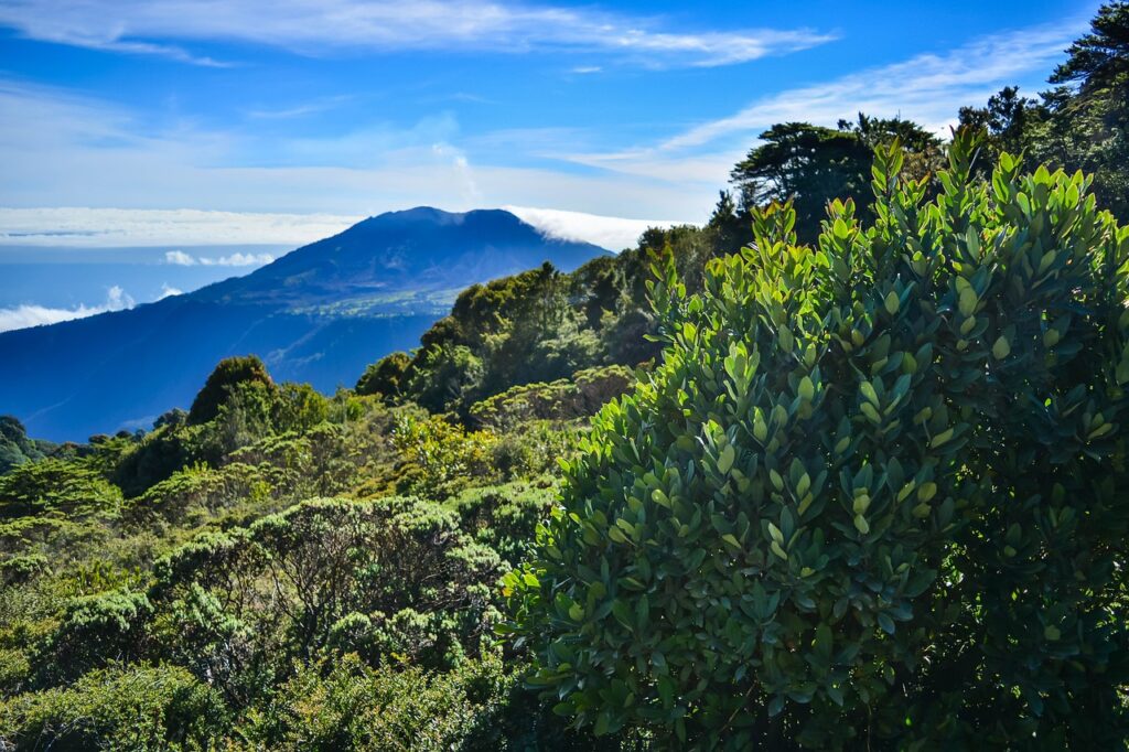 costa-rica-5173497_1280